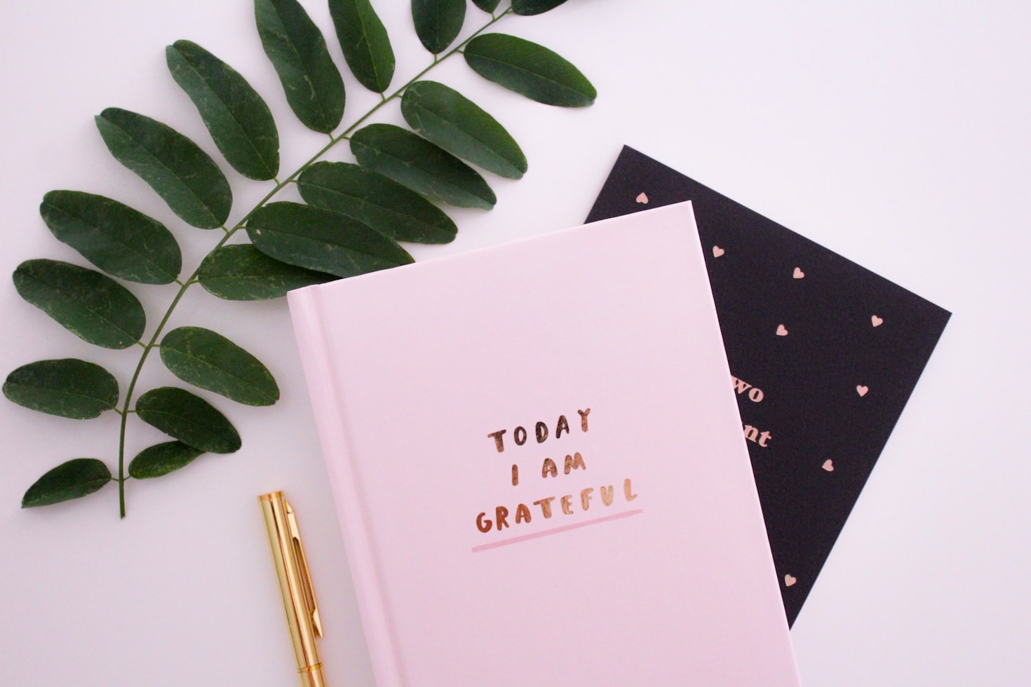 Reflections on Milestones and New Beginnings
